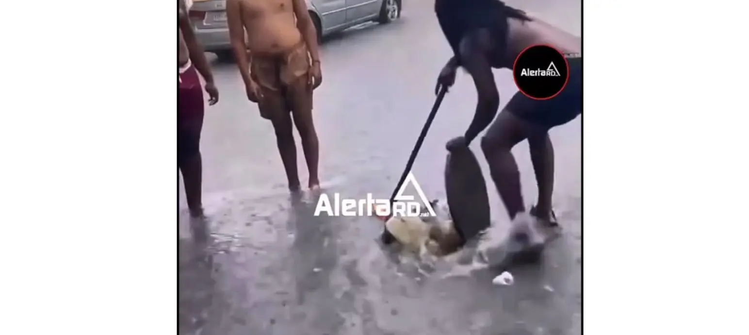 Lo que descurbió hombre en la calle
