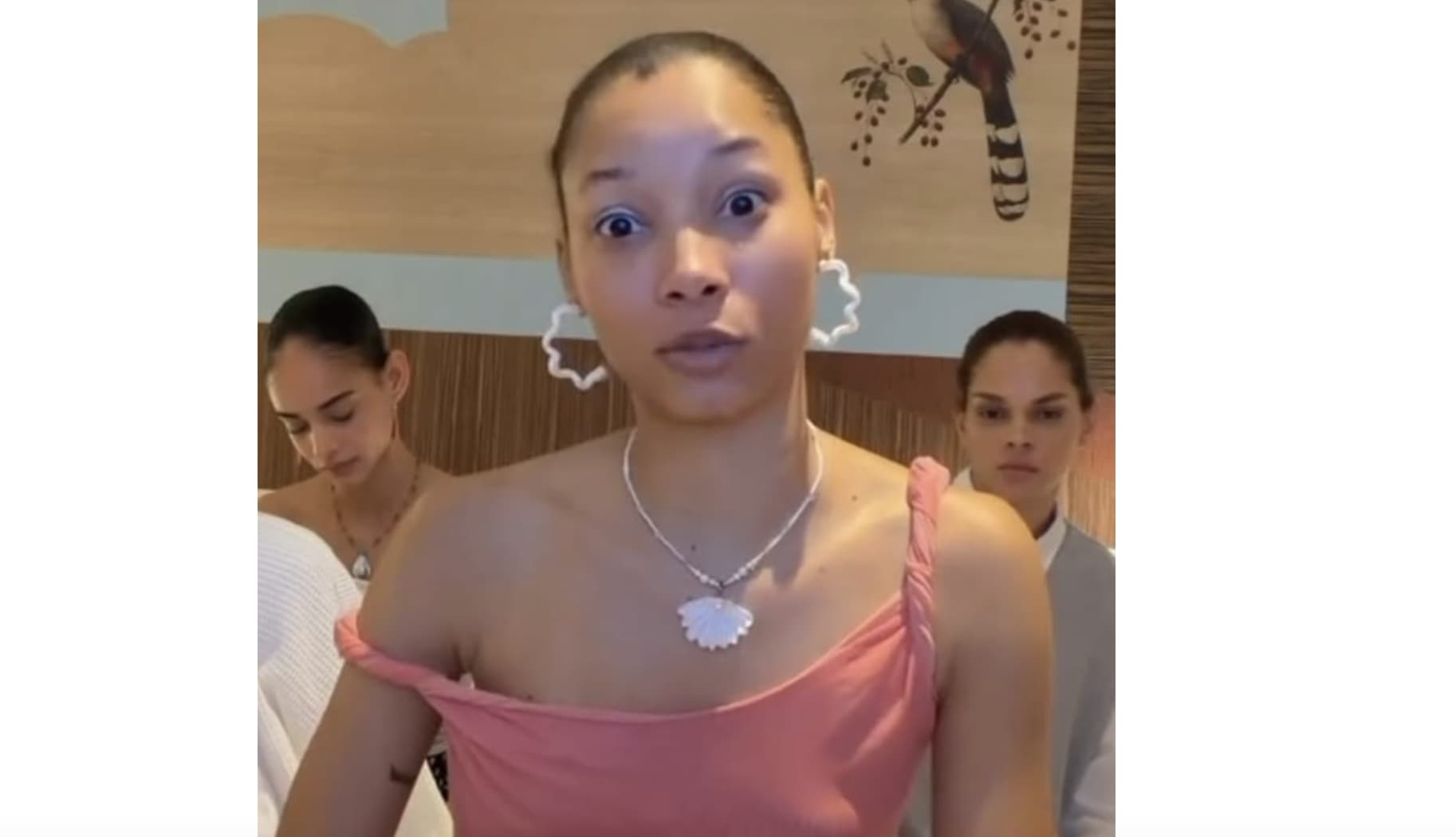 👠🚔 Modelo Dominicana denuncia policías tras parada en Santo Domingo